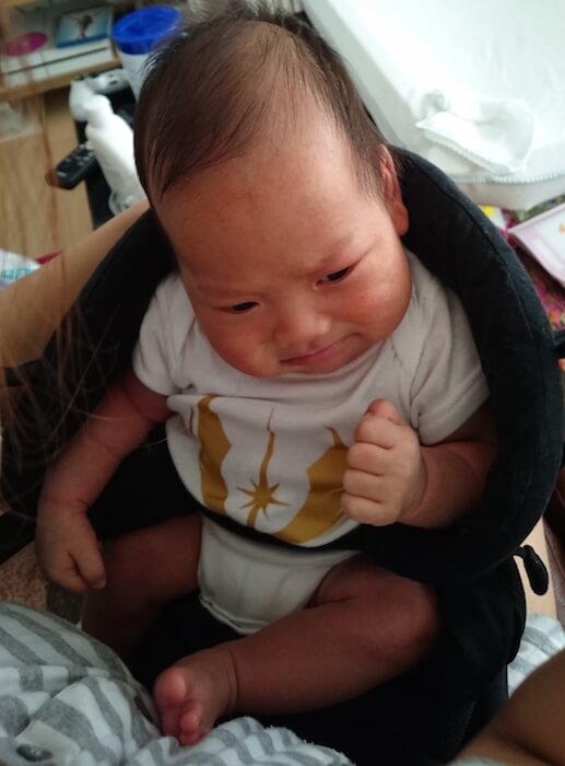 赤ちゃんの抱っこひもの代表格 エルゴベビー ベビーキャリア360 の使用感 レビュー 新生児